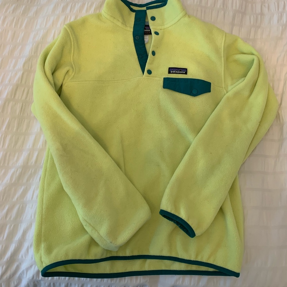 Patagonia Synchilla Fleece
